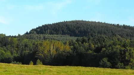 Agroturystyka Zacisze Czarna Owca Brzezanka ภายนอก รูปภาพ