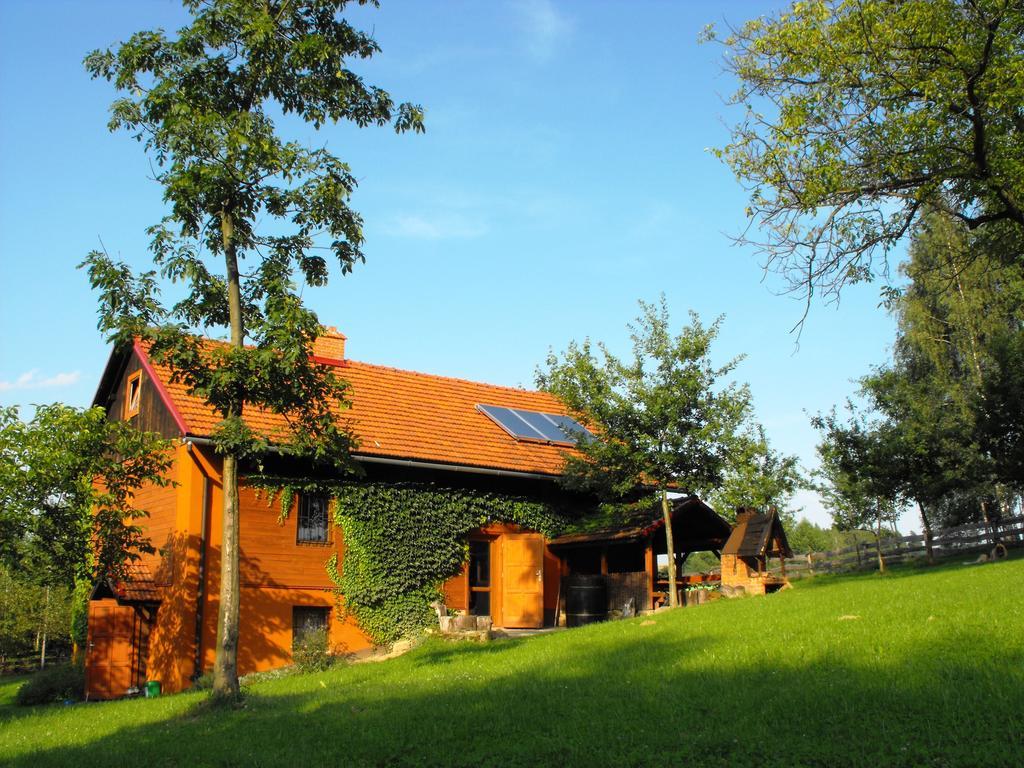 Agroturystyka Zacisze Czarna Owca Brzezanka ภายนอก รูปภาพ