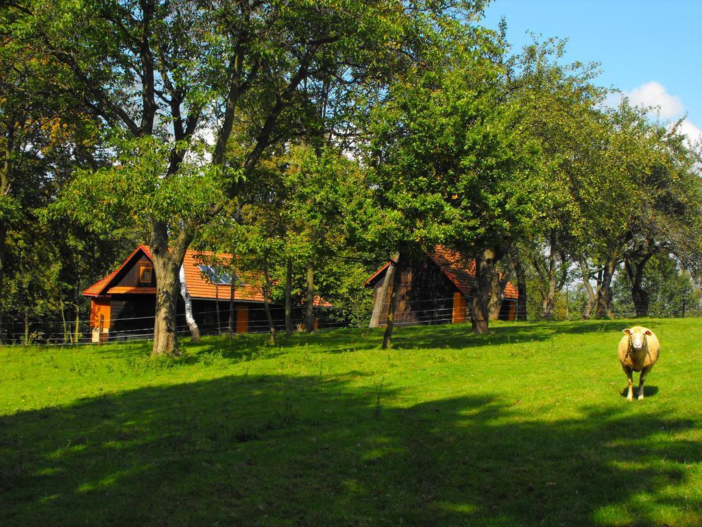 Agroturystyka Zacisze Czarna Owca Brzezanka ภายนอก รูปภาพ