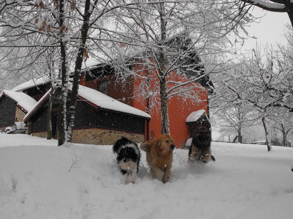 Agroturystyka Zacisze Czarna Owca Brzezanka ภายนอก รูปภาพ
