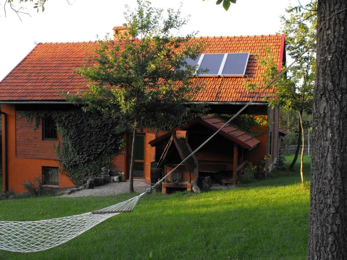 Agroturystyka Zacisze Czarna Owca Brzezanka ภายนอก รูปภาพ