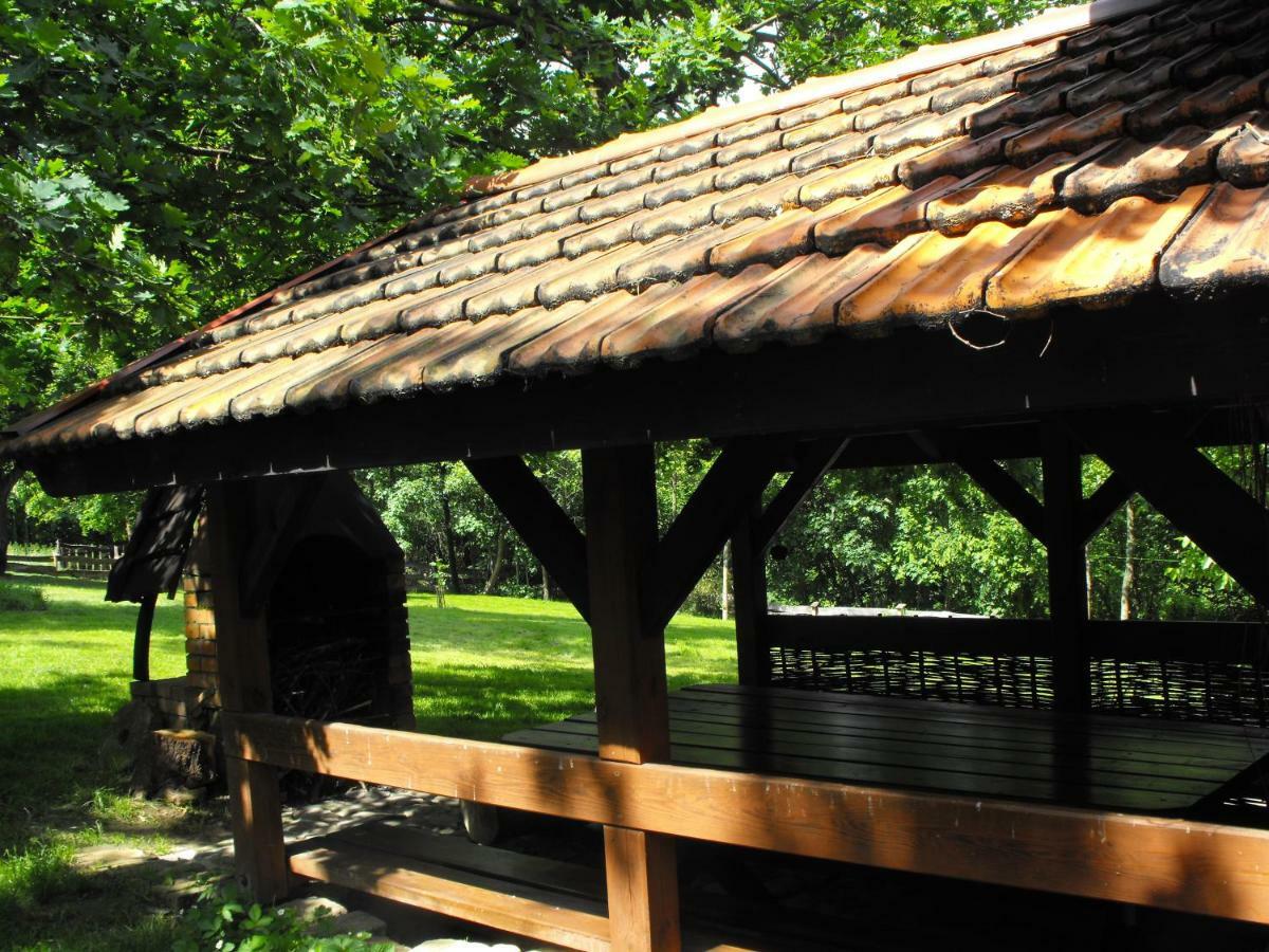 Agroturystyka Zacisze Czarna Owca Brzezanka ภายนอก รูปภาพ